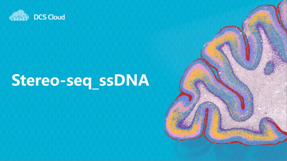 Stereo-seq_ssDNA