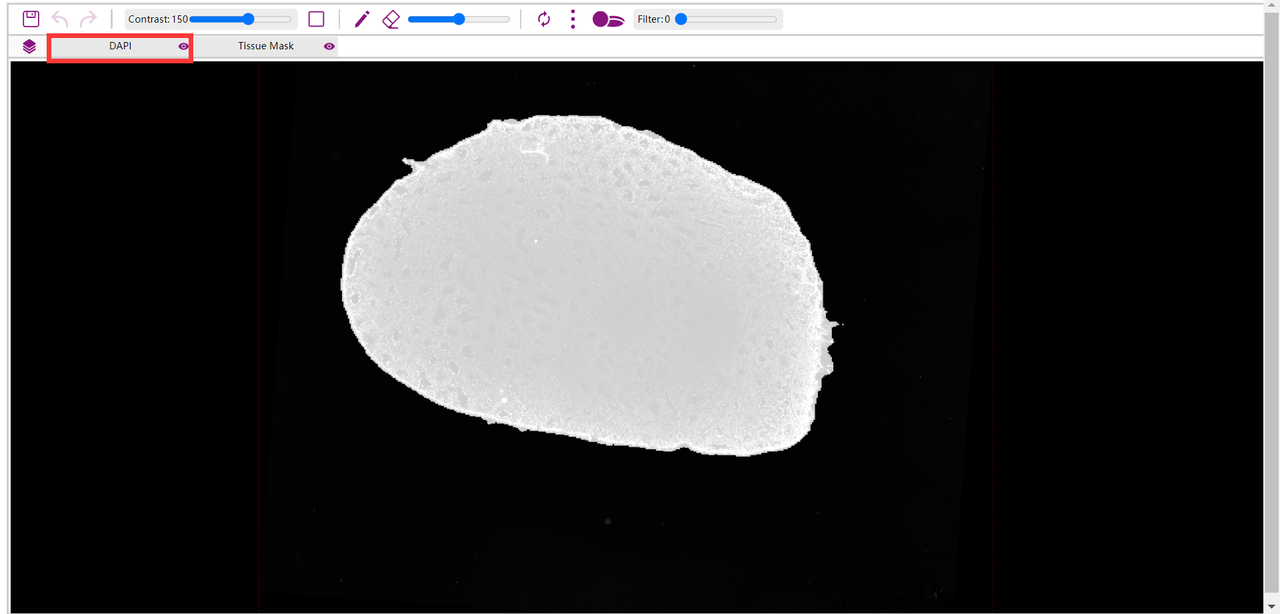 DAPI图的tissuecut
