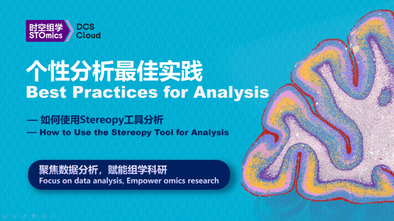 Best Practices for Analysis