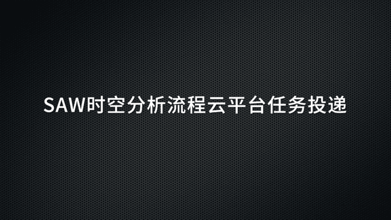 SAW时空分析流程云平台任务投递教程