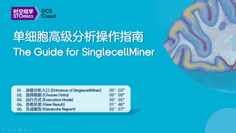 The Guide for SinglecellMiner